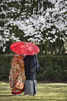 Japanese couple wearing traditional clothing in Koraku-en Garden, Okayama, Okayama Japanese couple wearing traditional clothing in Koraku-en Garden, Okayama, Okayama