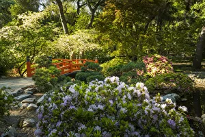Japanese Garden in Descanso Gardens, La Canada Flintridge, California, USA Japanese Garden in Descanso Gardens, La Canada Flintridge, California, USA