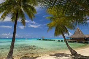 Kia Ora Resort, Rangiroa, Tuamotu Archipelago, French Polynesia Kia Ora Resort, Rangiroa, Tuamotu Archipelago, French Polynesia