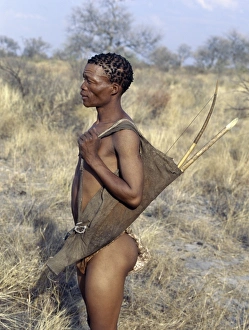 A !Kung hunter-gatherer stands ready to accompany his A !Kung hunter-gatherer stands ready to accompany his