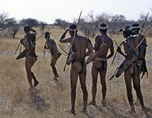 !Kung hunter-gatherers pause to check a distant wild !Kung hunter-gatherers pause to check a distant wild