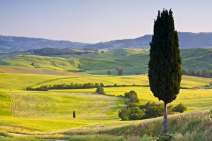 Landscale near Pienza, Val d Orcia, Tuscany, Italy Landscale near Pienza, Val d Orcia, Tuscany, Italy