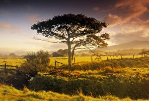 North Wales Scenery Prints: Landscape nr