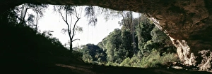 Kitum Cave Print: A Nighttime Salt Lick for Elephants