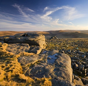 Late evening golden sunlight at Higher Tor on Belstone Common, Dartmoor National Park Late evening golden sunlight at Higher Tor on Belstone Common, Dartmoor National Park