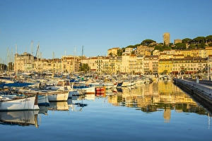Le Vieux Port, Cannes, Alpes-Maritimes, Provence-Alpes-Cote D'Azur, French Riviera Le Vieux Port, Cannes, Alpes-Maritimes, Provence-Alpes-Cote D'Azur, French Riviera