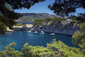Les Calanques, Cassis, Provence, France Les Calanques, Cassis, Provence, France