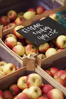 Leuven, Belgium. Locally grown apples on sale at Leuven market Leuven, Belgium. Locally grown apples on sale at Leuven market