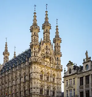 Grote Markt Print: Leuven City Hall and Flemish Buildings