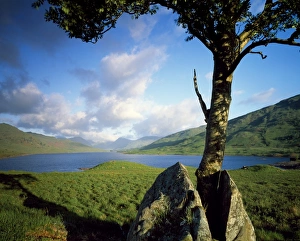Northern Europe Water Features Prints: Loch Arklet