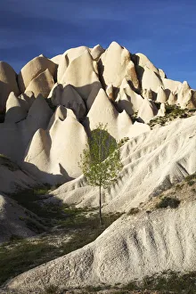 Drought Affected Landscape Photography Prints: Lone Tree & Eroded Tufa Formations, near Goreme, Cappadocia, Turkey