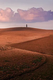 Lone tree with rolling hills in autumn at sunset, Val d'Orcia, Tuscany, Italy Lone tree with rolling hills in autumn at sunset, Val d'Orcia, Tuscany, Italy
