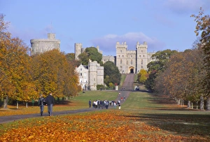 Berkshire England Landmarks Prints: The Long Walk