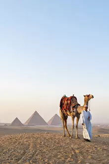 Historic Cairo Collection: Man and his camel at the Pyramids of Giza, Giza, Cairo, Egypt