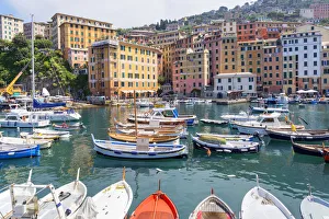 Marina harbour, Camogli, Liguria, Italy Marina harbour, Camogli, Liguria, Italy