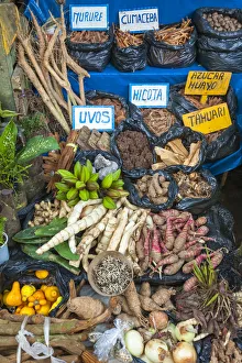Medicinal herbs and traditional medicine for sale in the Belen Market, Iquitos, Loreto Medicinal herbs and traditional medicine for sale in the Belen Market, Iquitos, Loreto