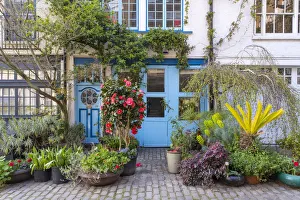 Mews houses, Paddington, London, England, UK Mews houses, Paddington, London, England, UK