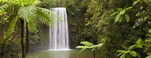 Milla Milla Falls, Atherton Highlands nr Cairns, Queensland, Australia Milla Milla Falls, Atherton Highlands nr Cairns, Queensland, Australia