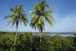 Minneriya Girotale Sanctuary, Sri Lanka Minneriya Girotale Sanctuary, Sri Lanka