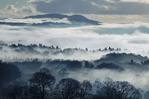 Misty Landscape in Winter, near Windermere, Lake District National Park, Cumbria, England Misty Landscape in Winter, near Windermere, Lake District National Park, Cumbria, England