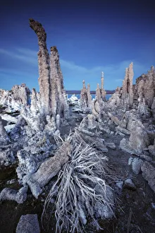 Mono Lake, Lee Vining, California, USA Mono Lake, Lee Vining, California, USA