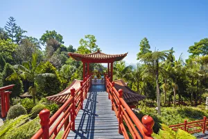 Monte Palace tropical garden, Funchal, Madeira island, Portugal, Europe Monte Palace tropical garden, Funchal, Madeira island, Portugal, Europe