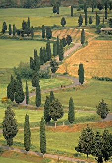 Tuscany Italy Landscape Prints: Monticchiello