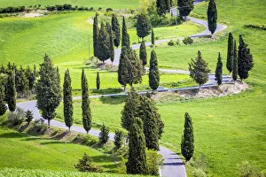 Monticchiello, Tuscany, Italy. Scenic road Monticchiello, Tuscany, Italy. Scenic road