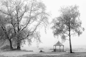 Morning fog, near Grasmere, Cumbria, UK Morning fog, near Grasmere, Cumbria, UK
