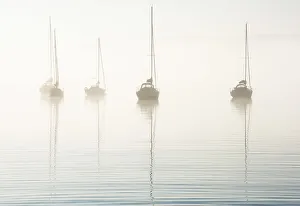 Morning fog on Windermere, Cumbria, UK Morning fog on Windermere, Cumbria, UK