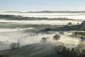 Morning mist around Lewesdon Hill, Marshwood Vale, Dorset, England, UK Morning mist around Lewesdon Hill, Marshwood Vale, Dorset, England, UK