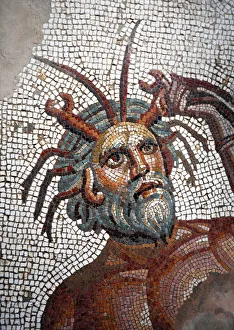 Mosaic from the House of Amphitrite, Roman city Bulla Regia, Tunisia Mosaic from the House of Amphitrite, Roman city Bulla Regia, Tunisia