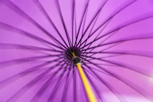 Motion blurred spinning traditional purple Japanese parasol or umbrella with a bamboo Motion blurred spinning traditional purple Japanese parasol or umbrella with a bamboo