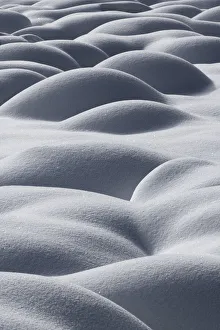 Mounds of snow formed over tussocks of sedges, Zelenci Spring, Kranjska Gora, Slovenia Mounds of snow formed over tussocks of sedges, Zelenci Spring, Kranjska Gora, Slovenia