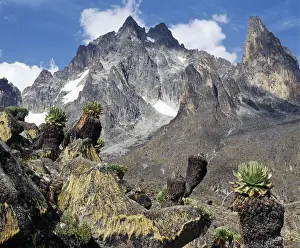 Mount Kenya Print: Snow-Capped Peaks