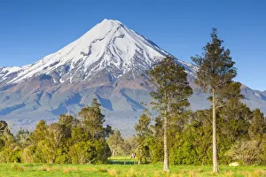 North Island Prints: Mount Taranaki (Egmont) Print, New Zealand