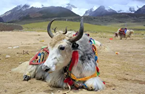 Mountain landscape, Lhasa Prefecture, Tibet, China Mountain landscape, Lhasa Prefecture, Tibet, China