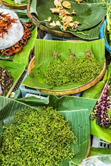 Mueang Mai Market, Chiang Mai, Northern Thailand, Thailand Mueang Mai Market, Chiang Mai, Northern Thailand, Thailand