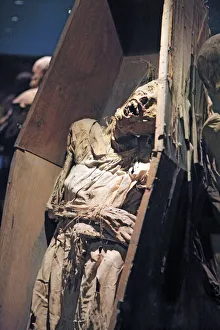 The Mummies Museum, Guanajuato, Guanajuato State, , Mexico The Mummies Museum, Guanajuato, Guanajuato State, , Mexico