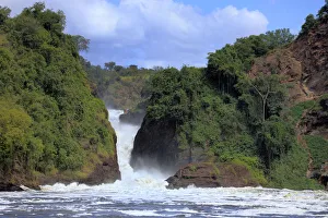 Murchison Falls national park, Uganda, East Africa Murchison Falls national park, Uganda, East Africa