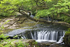 The Nedd Fechan River at Horseshoe Falls, Brecon Beacons National Park, Mid Glamorgan The Nedd Fechan River at Horseshoe Falls, Brecon Beacons National Park, Mid Glamorgan