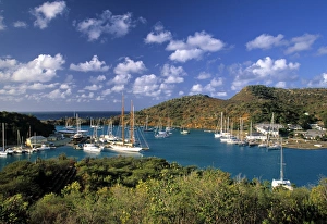 Nelsons Dockyard Antigua Prints: Nelsons Dockyard