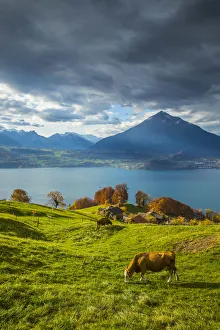 Niesen mountain and Lake Thun, Berner Oberland, Switzerland Niesen mountain and Lake Thun, Berner Oberland, Switzerland