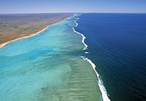 Ningaloo Marine Park Images Prints: Ningaloo Reef
