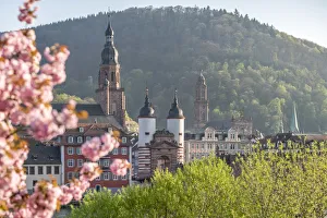 Old Bridge in Heidelberg in spring, Baden-Wurttemberg, Germany Old Bridge in Heidelberg in spring, Baden-Wurttemberg, Germany