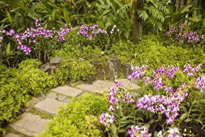 Orchid garden, Singapore Botanic Gardens, Singapore Orchid garden, Singapore Botanic Gardens, Singapore