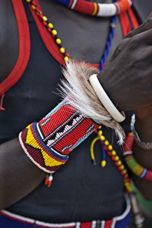 The ornaments of a Pokot warrior including a ring of goat skin which would have been The ornaments of a Pokot warrior including a ring of goat skin which would have been