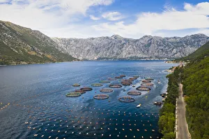 Oyestor Farm in the Bay of Kotor, Kotor, Montenegro Oyestor Farm in the Bay of Kotor, Kotor, Montenegro