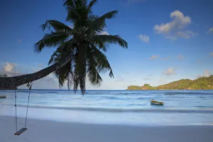 Palm tree and Tropical beach, southern Mahe, Seychelles Palm tree and Tropical beach, southern Mahe, Seychelles