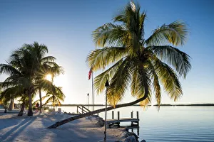 Palm Trees & Jetty, Islamorada, Florida Keys, USA Palm Trees & Jetty, Islamorada, Florida Keys, USA